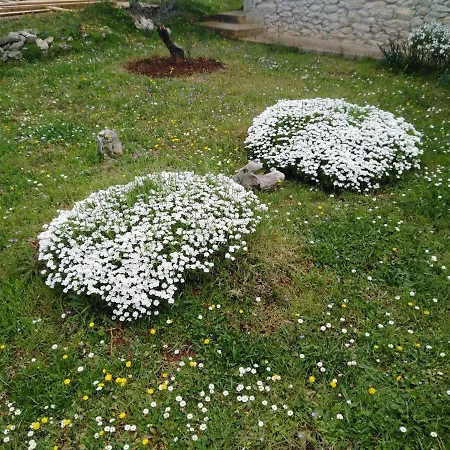Lejlighed Tiziana Zadar