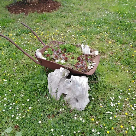 Tiziana アパート ザダル