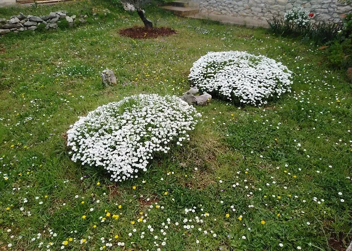 Lejlighed Tiziana Zadar