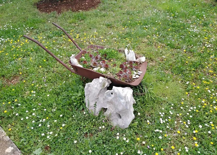 Tiziana Lejlighed Zadar